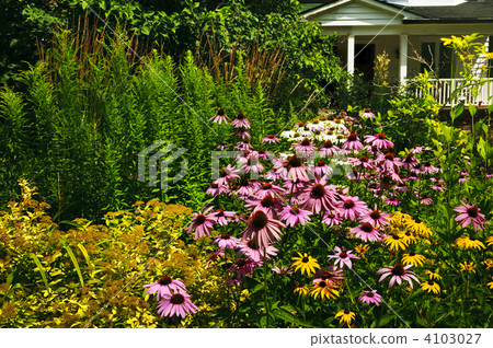 Residential garden landscaping 4103027