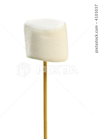 Marshmallow on skewer Marshmallow on skewer 4103037