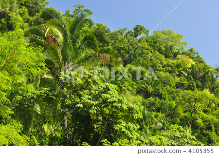 everyday life, good weather, sunny 4105355