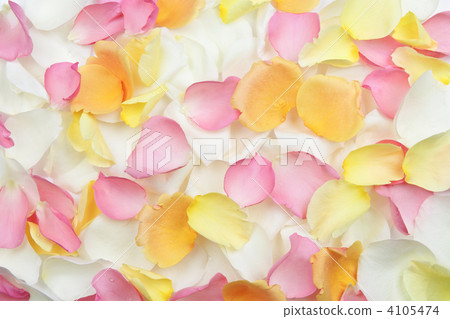 Rose petals background 4105474