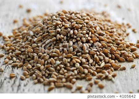 Whole grain wheat kernels closeup 4105642