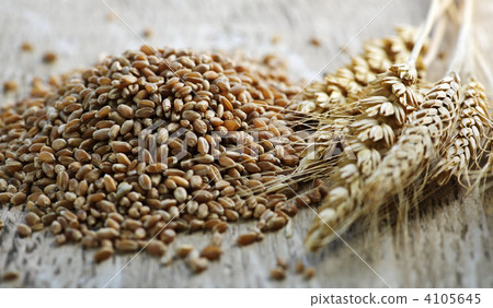 vegan, vegetarian, particles 4105645