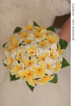 雞蛋花束 雞蛋花束 4108422