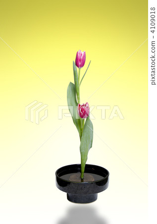 花瓶 花道(插花) 鬱金香 4109018