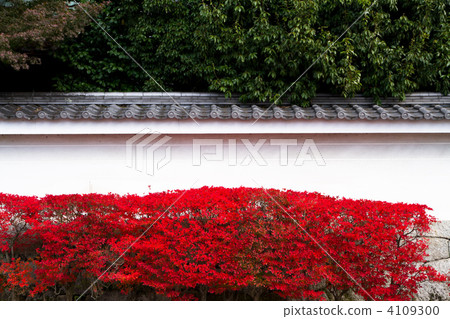 Eiken-do Fence 4109300