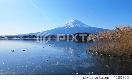 在河口湖的冬天 4109833