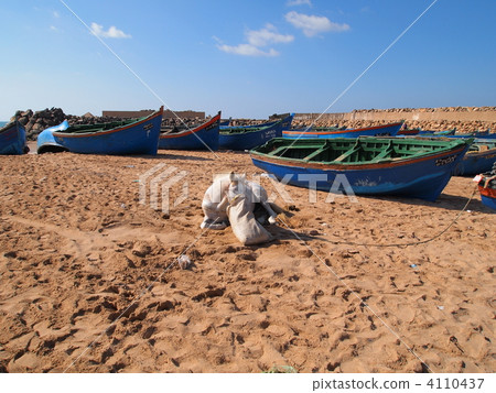 Fishing boat and horse of Western Sahara Bujdur Fishing boat and horse of Western Sahara Bujdur 4110437