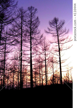 Winter grove Winter grove 4110444