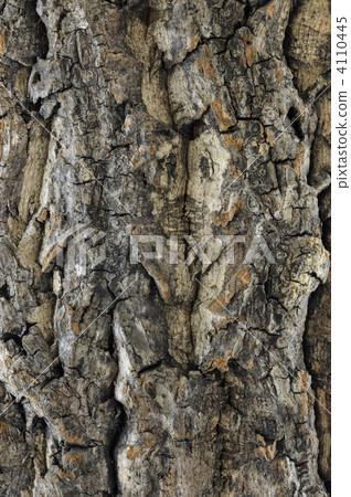 Cork bark 4110445