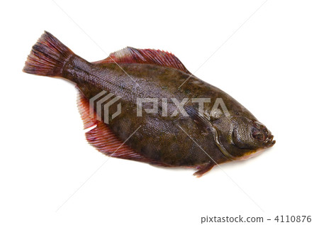 大理石唯一 4110876