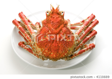 Japanese spider crab Japanese spider crab 4110889