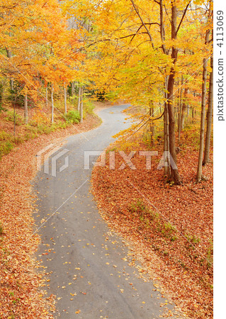 Winding alley in fall 4113069