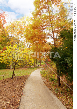 Fall in the park Fall in the park 4113515