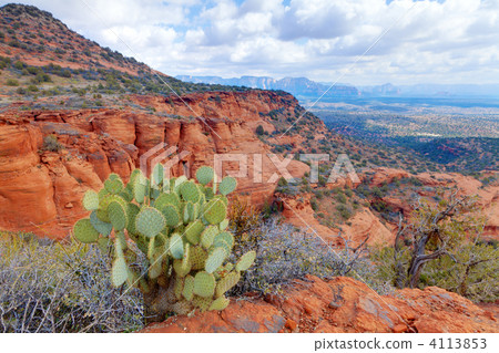 Desert Landscape Desert Landscape 4113853
