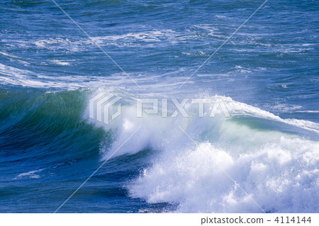 Surf Surf 4114144