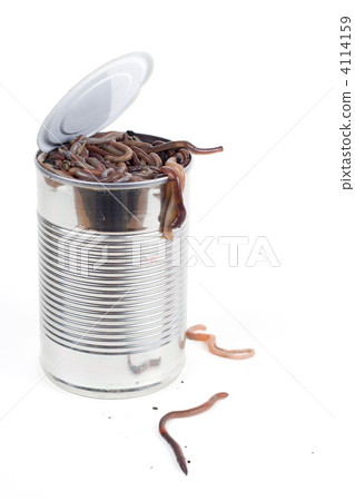 Can of worms Can of worms 4114159