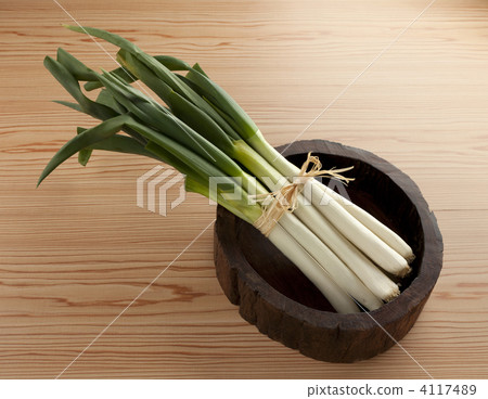 leek of phantom, white onion, nebuka green onions 4117489