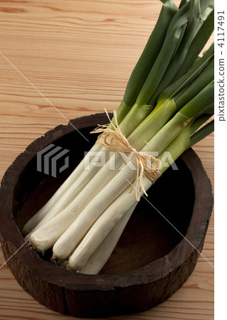 leek of phantom, white onion, nebuka green onions 4117491
