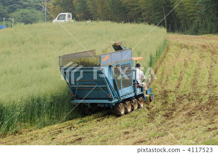 牲畜飼料切割 牲畜飼料切割 4117523