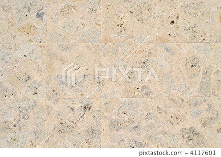 琉球石灰石 4117601