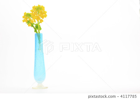 Rape flower and light blue vase 4117785