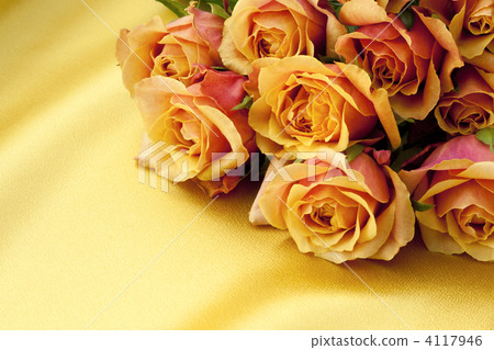 Golden satin and orange rose 4117946