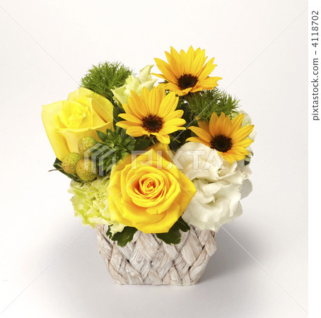 插花藝術 非洲菊 植物 4118702