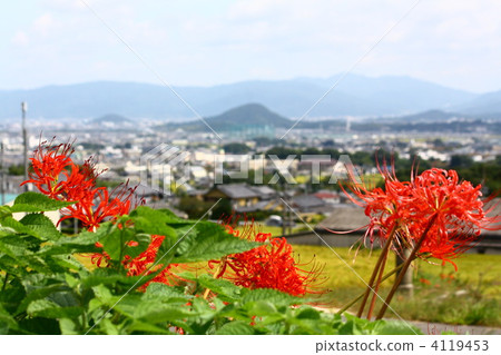 Looking at Yamato Miyama from Katsuragi in Higanohana full bloom Looking at Yamato Miyama from Katsuragi in Higanohana full bloom 4119453