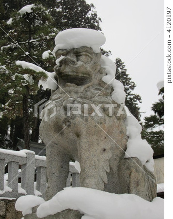 Sakurayama Hachimangu Shrine of Snow 4120197