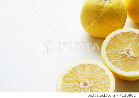 grapefruit  4120961