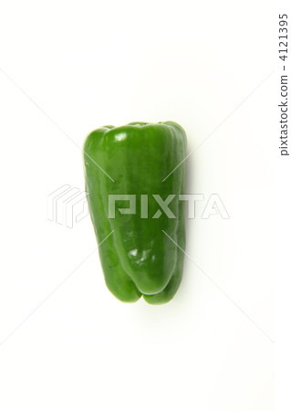 青椒 4121395