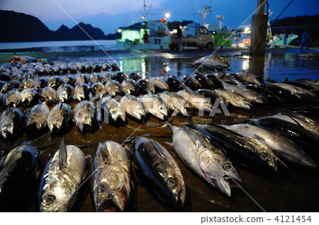 Katsuura漁港在早晨 4121454