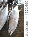 Tuna of Katsuura 4121490
