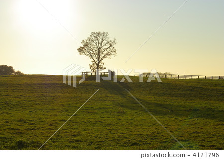 馬暮光之城 4121796