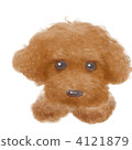 toy poodle  4121879