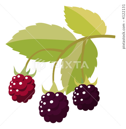 Blackberry illustration Blackberry illustration 4122131