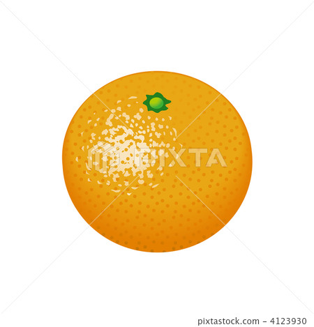 Illustration of oranges - Stock Illustration [4123930] - PIXTA