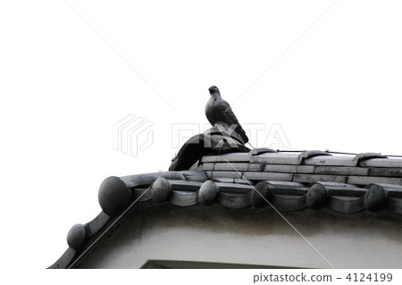  美濃“Udatsu樓上的街道” 4124199