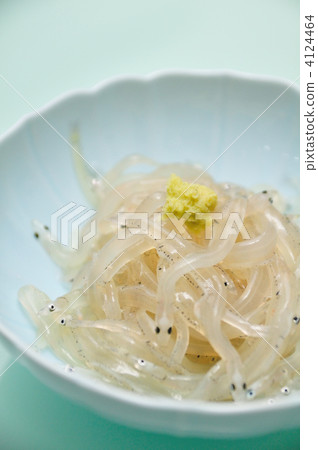 白魚 白魚 4124464
