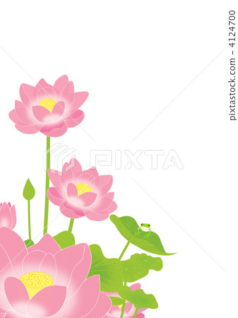 Lotus flowers and frogs 4124700