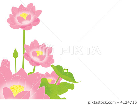 蓮花和青蛙 4124716