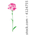 康乃馨的插圖 4124755