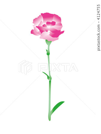 康乃馨的插圖 4124755