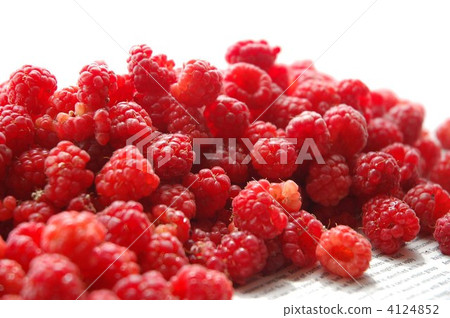 raspberry, raspberries, dessert 4124852
