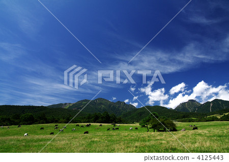 Yatsugatake ranch 4125443