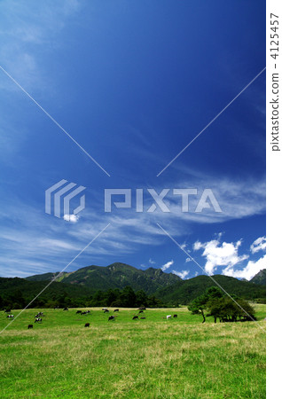 Yatsugatake ranch 4125457