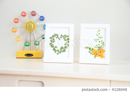 pressed flower, adiantum, interior 4126048