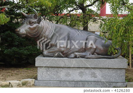 奶牛 牲口 牛 4126280