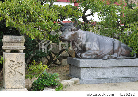 防府天滿宮 奶牛 牲口 4126282
