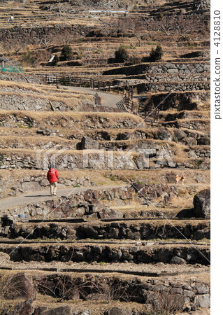 四谷千張 4128810